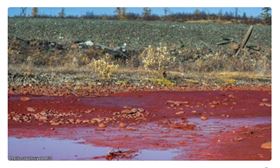 巴布亞紐幾內亞,中資工廠,廢水,染紅海岸線,勒令停業(圖/翻攝自推特)