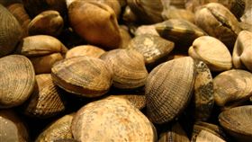 蛤蠣
https://www.flickr.com/photos/adactio/3298799794/in/photolist-62vdfw-a6STLr-PivGU-pSUcuw-a6VK4h-7xWRNF-8UhddS-4Ux6Yx-2jDSmb-NYHNQY-cRcfxU-MErJCx-6s29S5-8qQsQb-61PwD2-NYHNM1-4Ux6wv-2fpeqi-5BYEmu-8hj