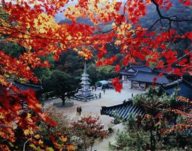 圖１：楊平龍門寺楓紅美景（圖／京畿觀光公社）