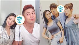 吳婉君 劉至翰 王宇婕 陳志強 猴子 圖/臉書