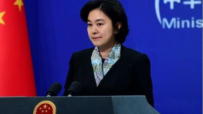 美稱被捕港人是民主人士…華春瑩怒了