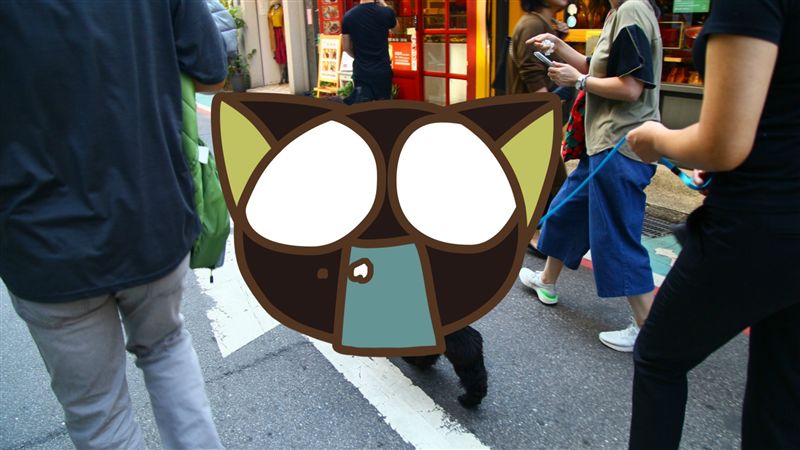轉角遇到「草泥馬」　毛茸翹臀萌翻