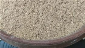 檀香,惡臭,出國,旅遊,木屑(爆怨公社)