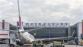 松山機場、春節、過年、疏運、離島、航空 圖／記者林敬旻攝