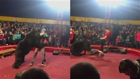 驚嚇,閃光燈,馬戲團,拍照,棕熊,攻擊,俄羅師,獎勵,表演,驚嚇,逃竄,　圖／翻攝自YouTube