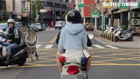 騎警車載女友! 囂張警嗆路人