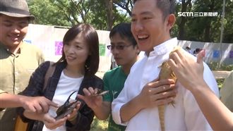 氣象站變身書店　新竹公園辦蟲蟲派對