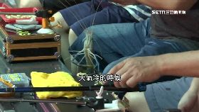 文 加熱釣蝦多1800