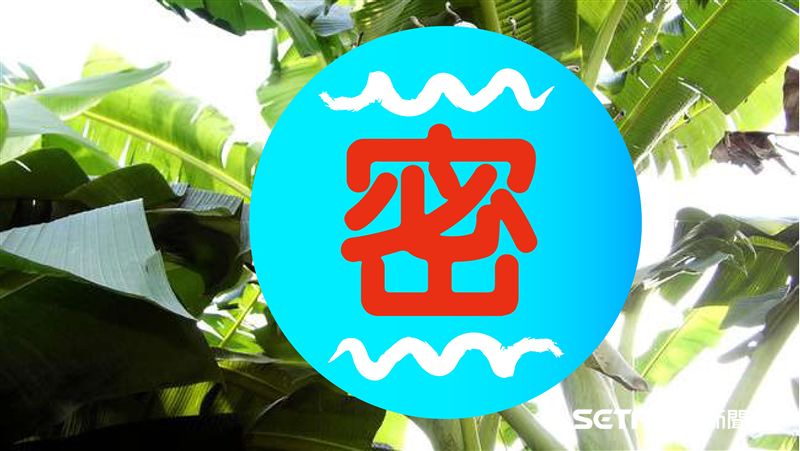 原來連這種綠色食物也能吃？一次愛上