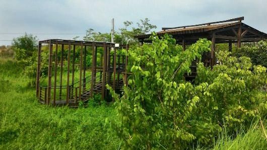 弟目睹哥落水！隔日竟已成流水浮屍…