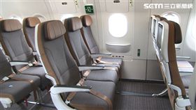 星宇航空機艙內部，星宇航空提供