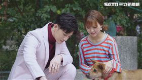 網紅的瘋狂世界,吳思賢,項婕如,張立昂。圖/台視提供