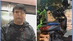 新竹,虐貓,動保法,平底鍋,撒鹽