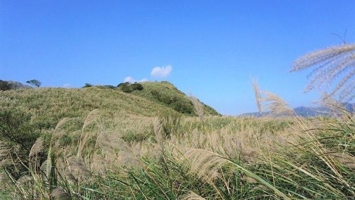 秋天旅遊必拍景點：芒花、楓葉、山毛