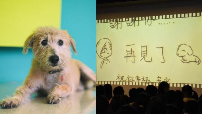 最萌老師安安畢業　師生淚送最後一程