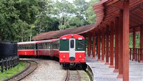 109年首季郵輪式列車行程（2）台鐵19日公布2020年首季郵輪式列車行程，3月推出到阿里山賞櫻花。（台鐵提供）中央社記者汪淑芬傳真　108年10月19日