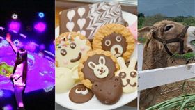 名家專用／網路溫度計（勿用）