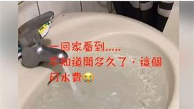 貓咪開水龍頭。(圖／翻攝自爆廢公社二館)