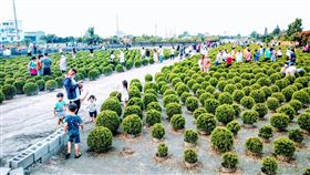  田尾波波草關閉（圖／翻攝自臉書）