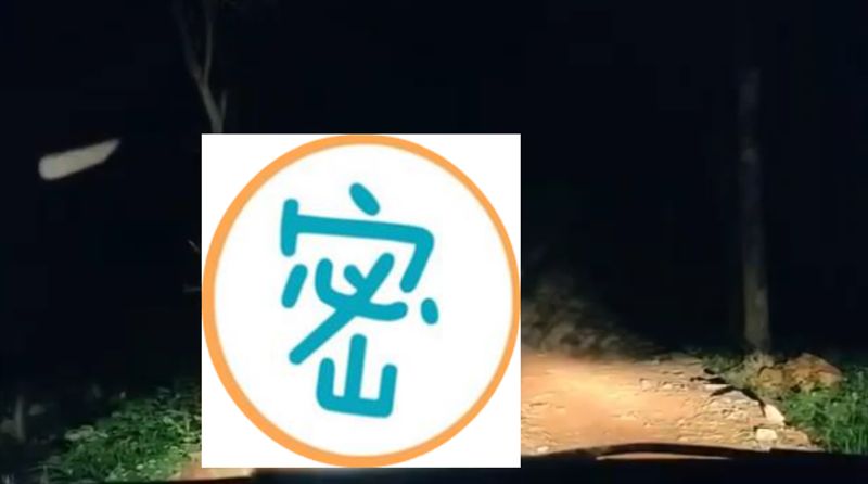 看丟鬼？產業道路無腳女鬼　真相曝光