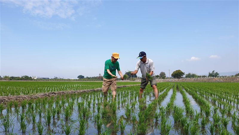 米也要打預防針？黃西田體驗務農懂了