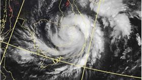 麥德姆（圖／翻攝自鄭明典臉書）