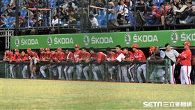 ▲12強味全龍隊、總教練葉君璋。（資料圖／記者王怡翔攝影）