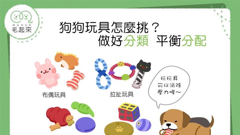 狗狗玩具怎麼挑？種類均衡最舒壓！