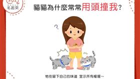 名家／毛起來（勿用）
