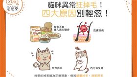 名家／毛起來（勿用）
