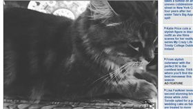 （圖／翻攝自每日郵報）
https://www.dailymail.co.uk/news/article-7607299/Teenage-girl-19-stabbed-pet-cat-Ginger-20-times-threw-balcony.html#i-ae16c21584074f14