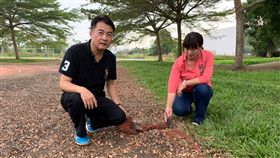 南投縣,中寮國中,操場破損,爭取補助,整建(圖/蔡培慧辦公室提供)中央社