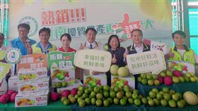 台南市,黃偉哲,農產外銷,加拿大,青皮椪柑(圖/中央社)