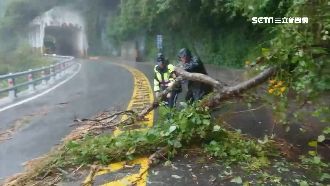 蘇澳大雨釀樹倒阻交通！工務段急清理