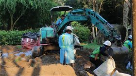 嘉義,觸口自然教育中心,樹木染褐根病,實施手術,遊客勿進(圖/嘉義林管處提供)中央社