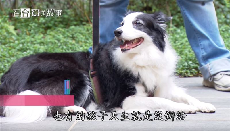 神奇的動物醫生　用軟萌抵抗病魔
