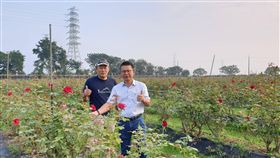 屏東北區,大花農場,冬季玫瑰,2日開園,品花(圖/農糧署提供)中央社