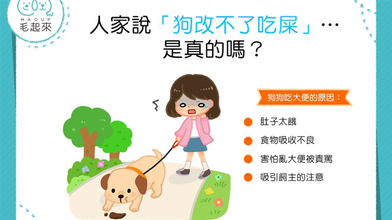 【汪汪行為學】狗狗為什麼老是吃大便