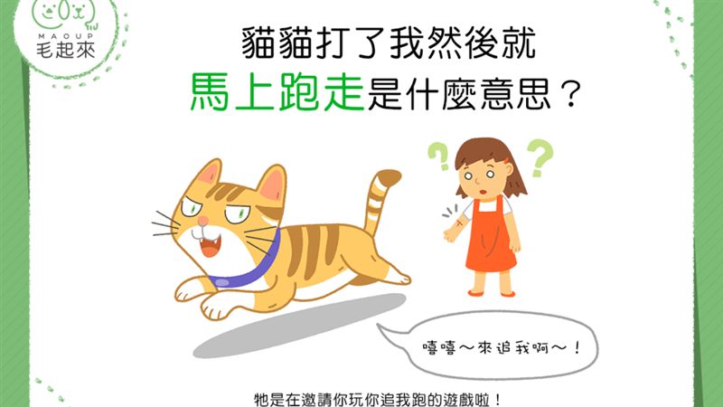 貓貓打了人就快閃是什麼意思？