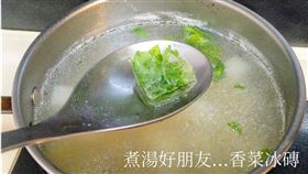香菜,冰磚,保存,味道(翻攝自廚藝公社)