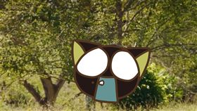 驢,哥倫比亞,PTT,The Grand Tour,妻子,成年禮,知識,人獸交,愛愛,啪啪,性關係　圖／翻攝自YouTube