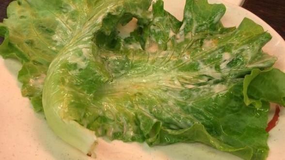 吃火鍋墊肉的菜可吃嗎？網分兩派戰翻