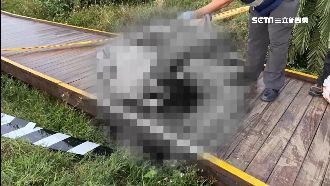 婦護2歲兒遭砸破頭亡…嬤：打到後腦