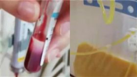 （圖／翻攝自看看新聞）中國,廣東,牛奶血