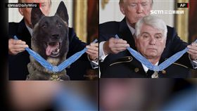 川普邀狗英雄進白宮 po頒獎照又惹議　（圖／翻攝自外電）