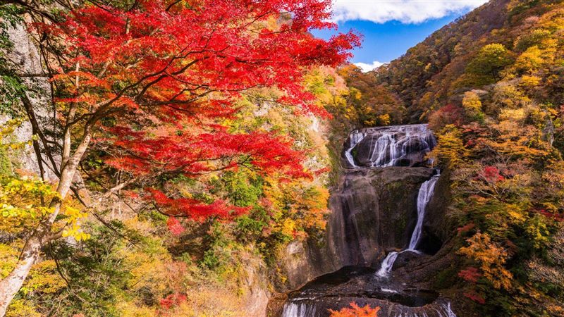 美翻了！日本5大秋季人氣旅遊地公布