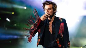 英國偶像男團「一世代（One Direction）」25歲成員哈利斯泰爾斯（Harry Styles）。IG