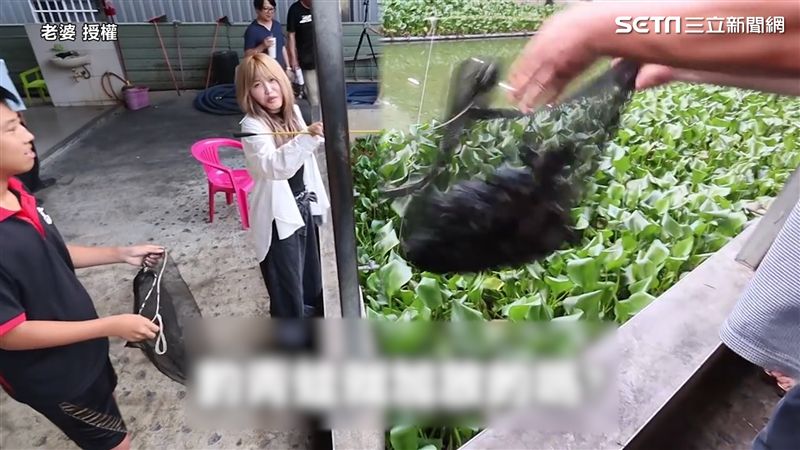 體驗新奇釣青蛙　老闆豪邁加料沒在怕