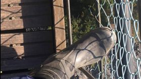 南投,男童,奧萬大,吊橋,墜落