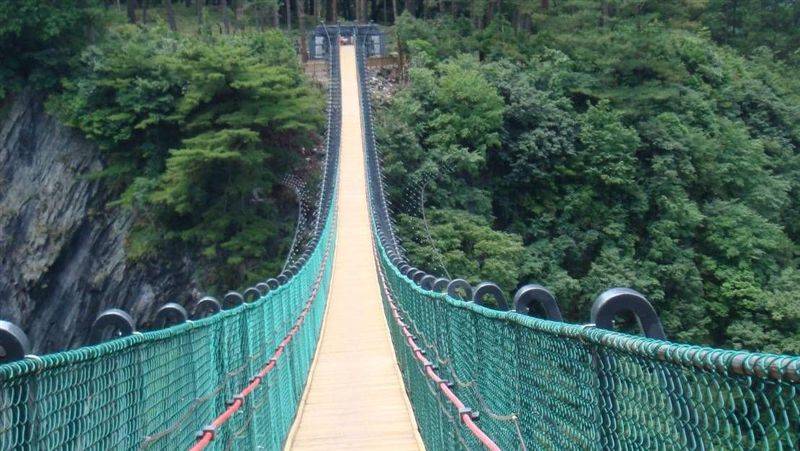 2歲童墜奧萬大橋亡　疑因固結點鬆脫
